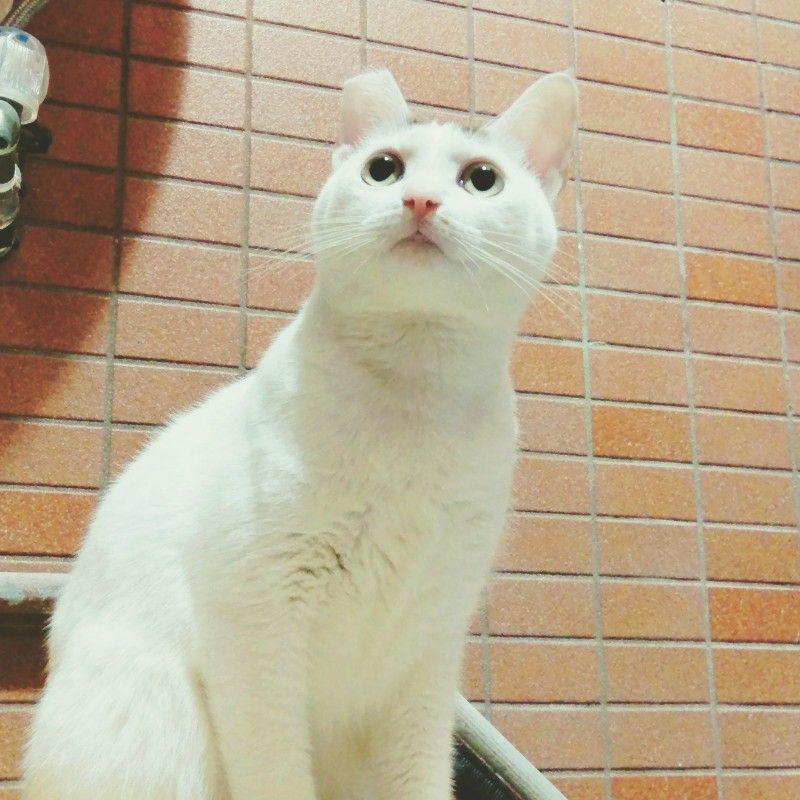 錢包