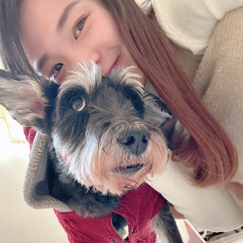 陳瑄