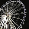 user_2782909595