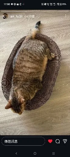Slinlee