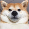 User_3739418938