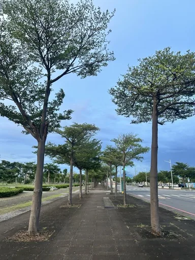 米哈奇