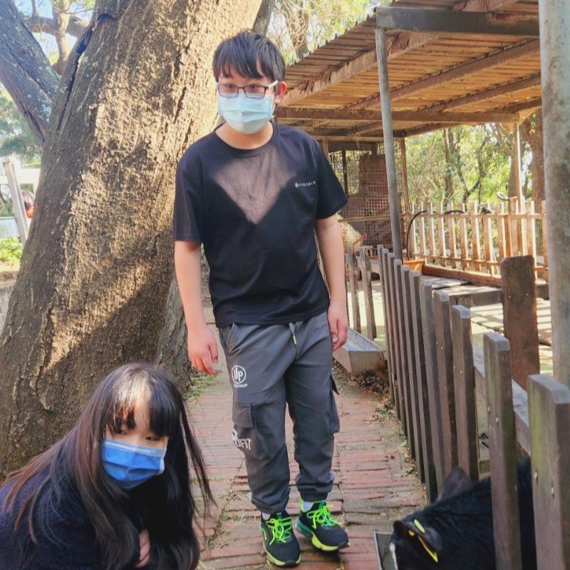陳淑華