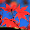 user_3476732115