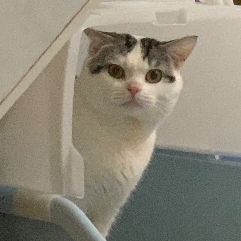 周周