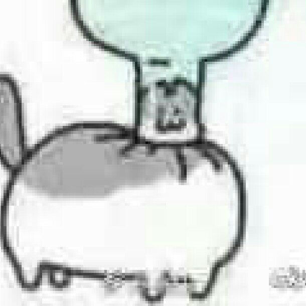 肥宅