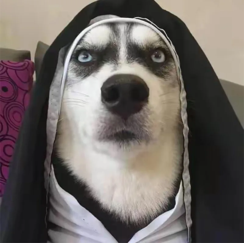 User_820821