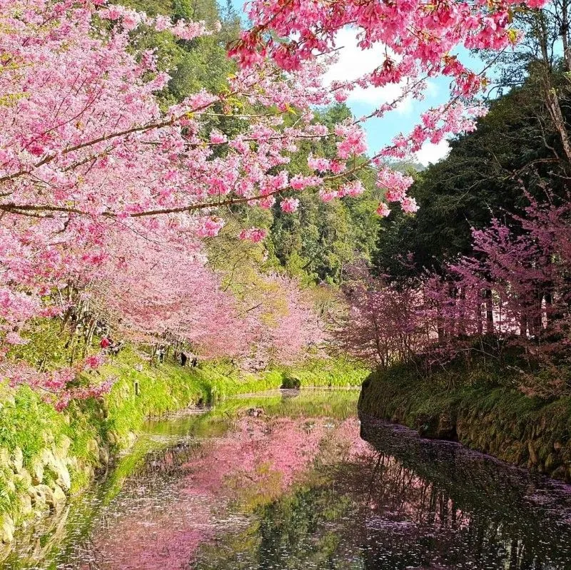 小漫