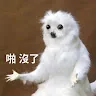 CHANG-REN LIN