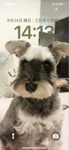 小姐姐