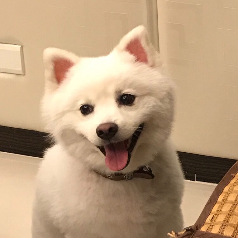 Liu