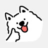 User_806698900
