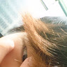 User_3694012542
