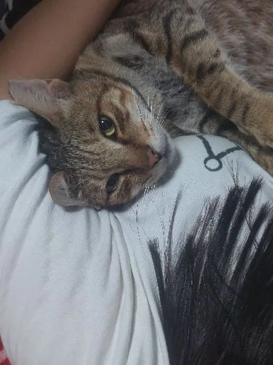 小曼