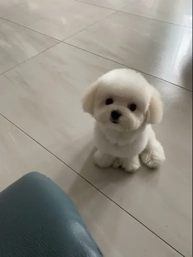 Huang