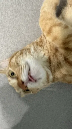 晴方