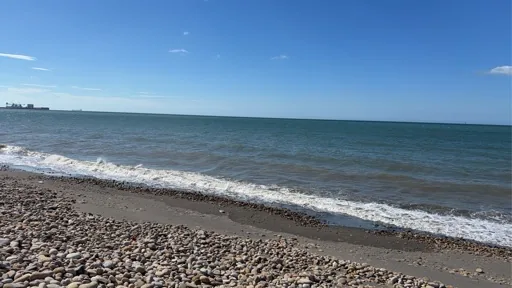 user_1703141495