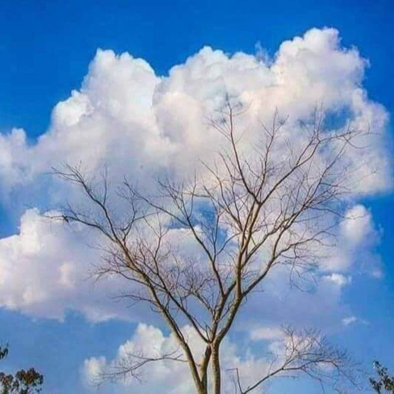 User_730007700