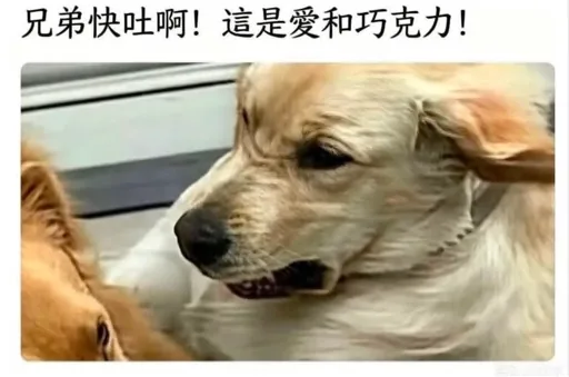 yanxiao