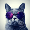 User_4194844156