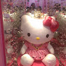 user_2677357399