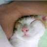 User_2718815411