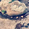Nagi H