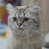 User_3054518022
