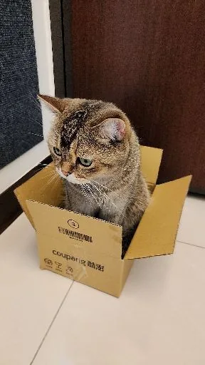 細菌人