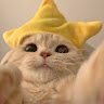 User_3096631597