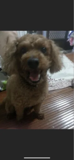 User_3690391864