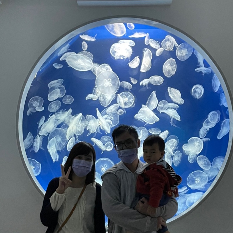 伊婷