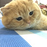 user_60219883