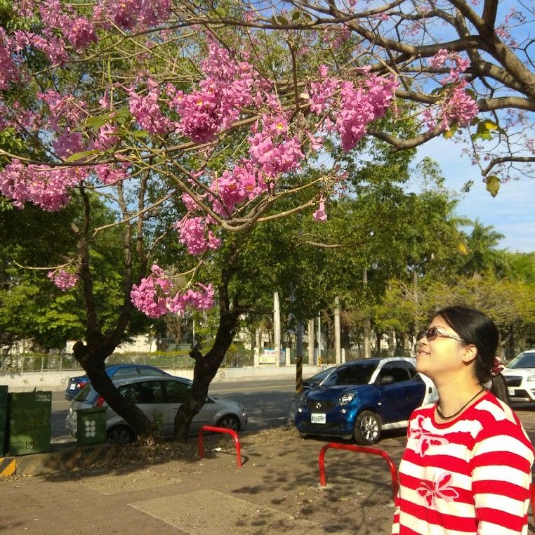 如慧tina