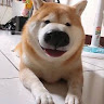 user_484475832