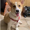 User_1776836995