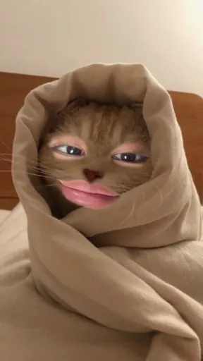 Abo