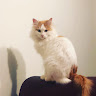 User_695502157