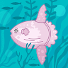 Mollusca