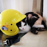 user_3364029507