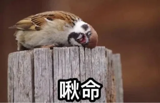 HungHung