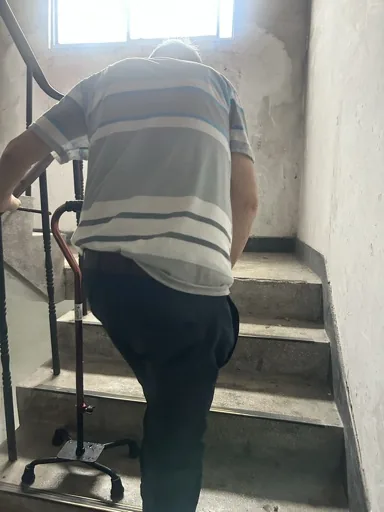 user_455656052