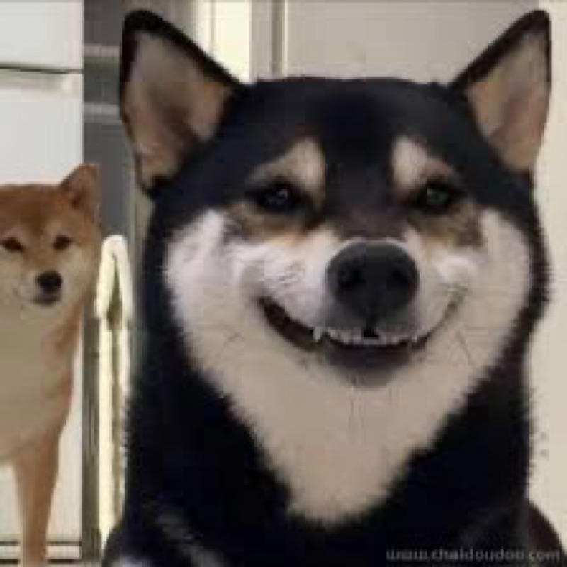 user_3140465642