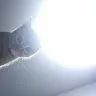 教主