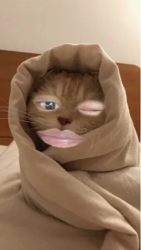 雅
