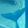 陳碧勳