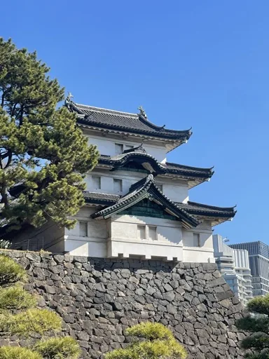 user_2087005851