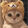 User_550587290
