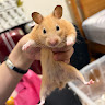 Nini Wu