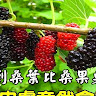 user_700517802